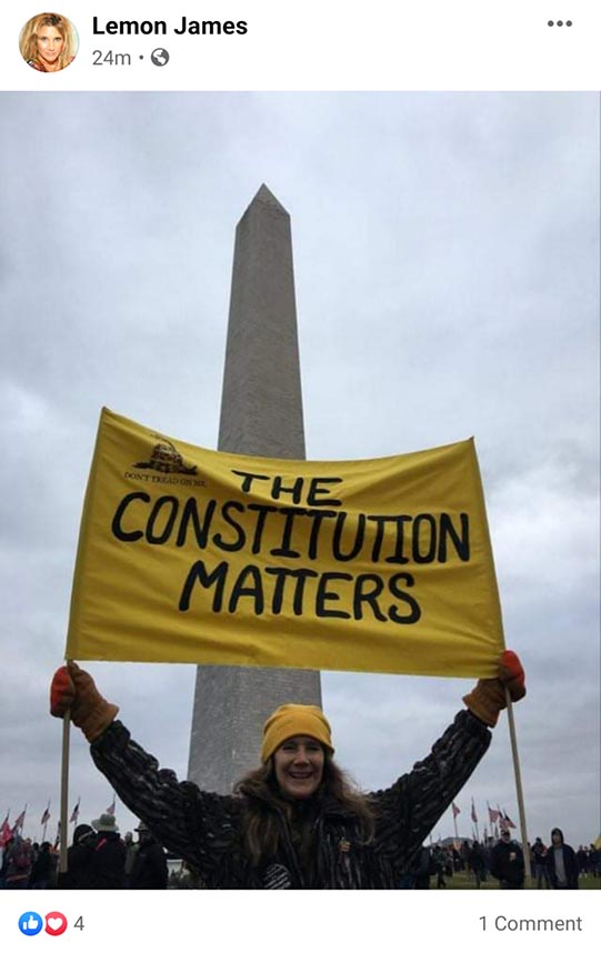 LemonJames at Washington Monument 541x858 50pct