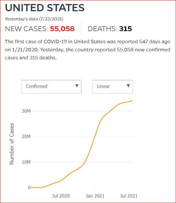 2021 07 22 Covid19 CasesAndDeaths