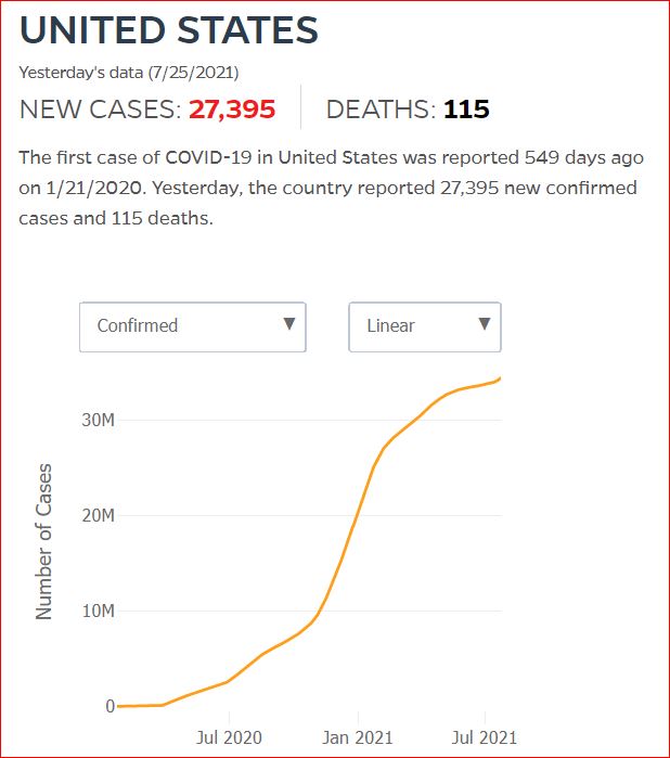 2021 07 24 Covid19 CasesAndDeaths