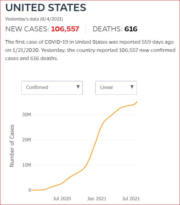 2021 08 03 Covid19 CasesAndDeaths