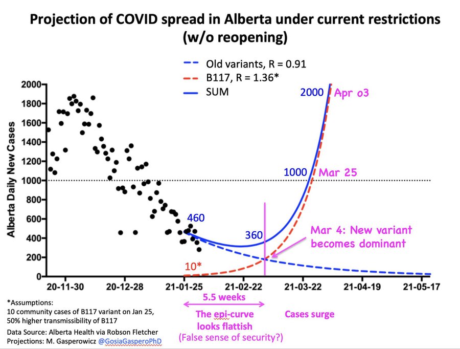 TweetOfEricFeiglDing ProjectionOfCovidAlbertaCurrent 2021 02 05