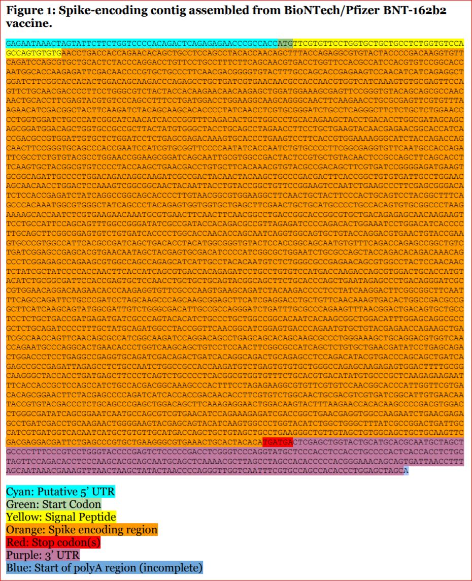 BioNTech Pfizer BNT 162b2