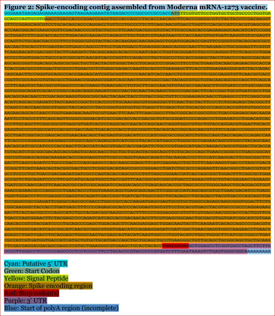 Moderna mRNA 1273