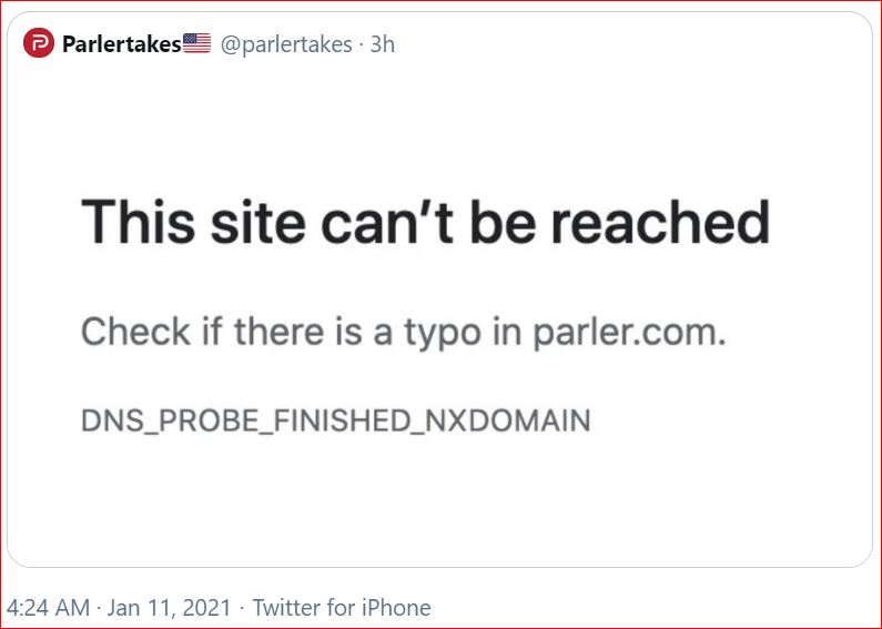 TweetOfTerror ParlerDNSGone