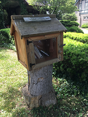 LittleLibrary3 OnAAStump 400h