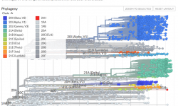 What the higher infectiousness of the Delta and B117 variant Coronavirii means CovidVariants 2021 08 02