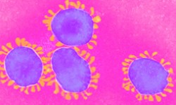 COVID-19 News - Updated Daily