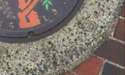 Wastewater and Sewer reports, documents, records, everything